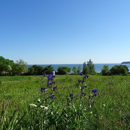Appartement Werft & Meer Lauterbach  Eksteriør bilde